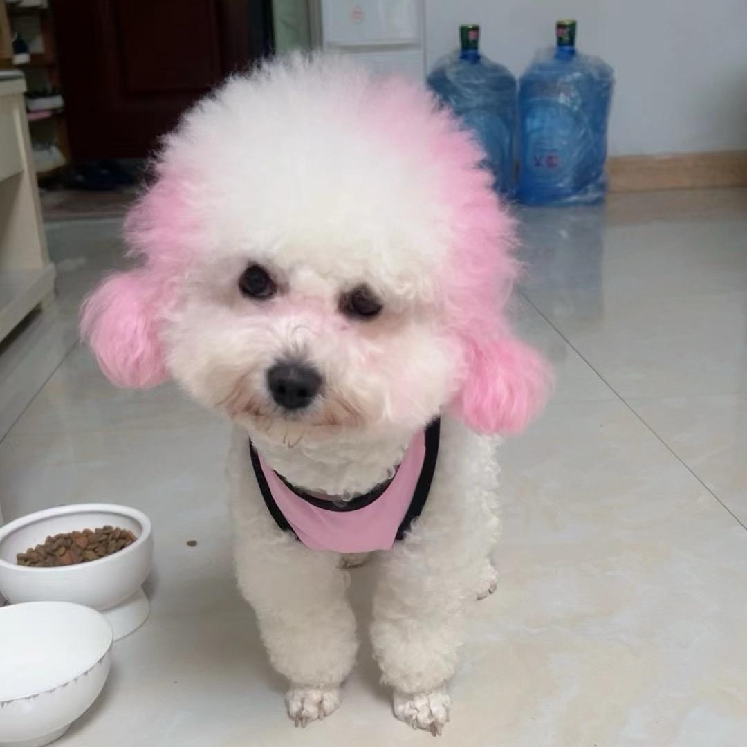 小三元