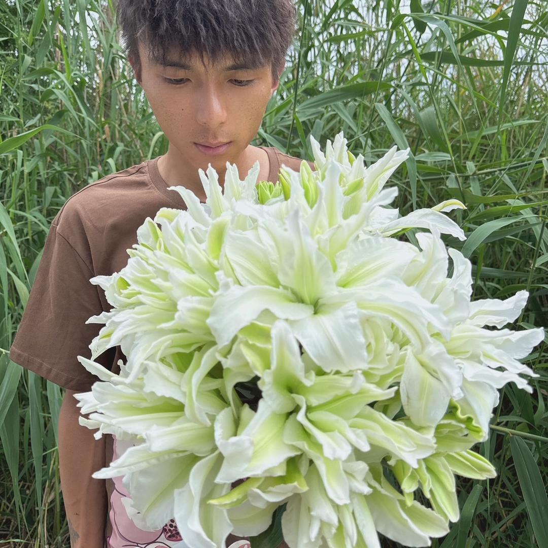 老王家的鲜花
