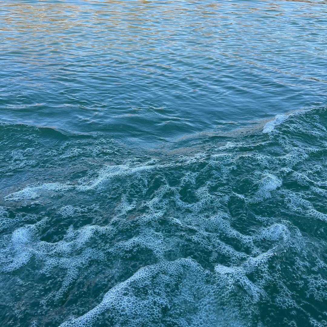 mc panda （想火）