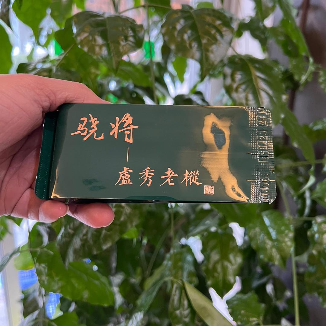 绝世骁将