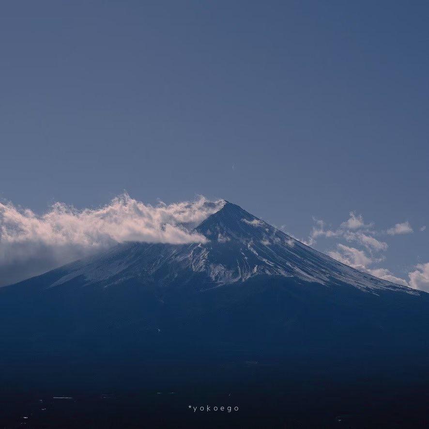 肖恩糖浆°