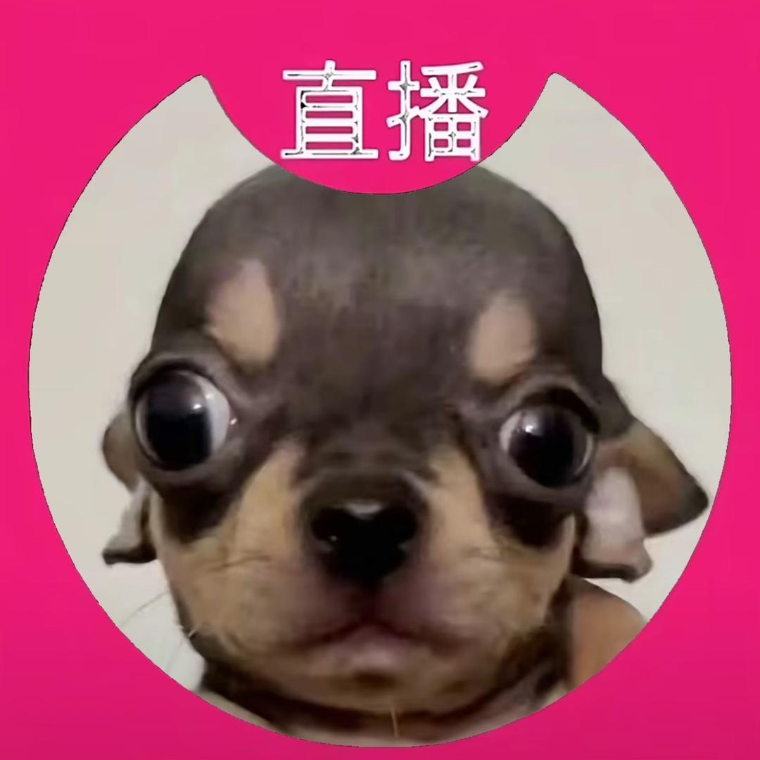 我是真的讨厌你