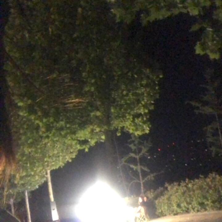 安吉格尔