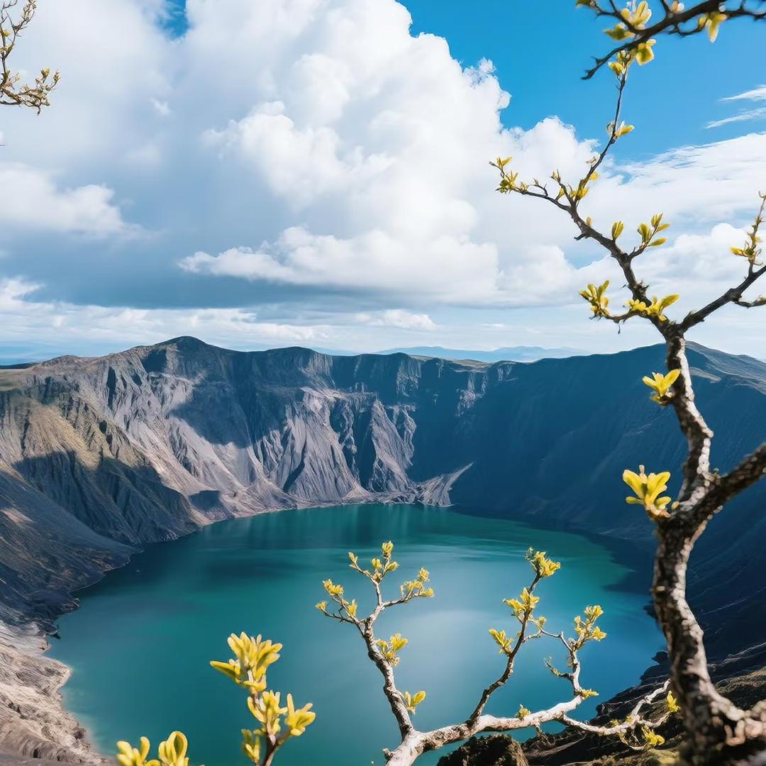 长白山 金海文旅