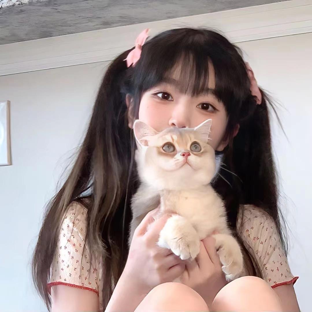 夹心特猫头