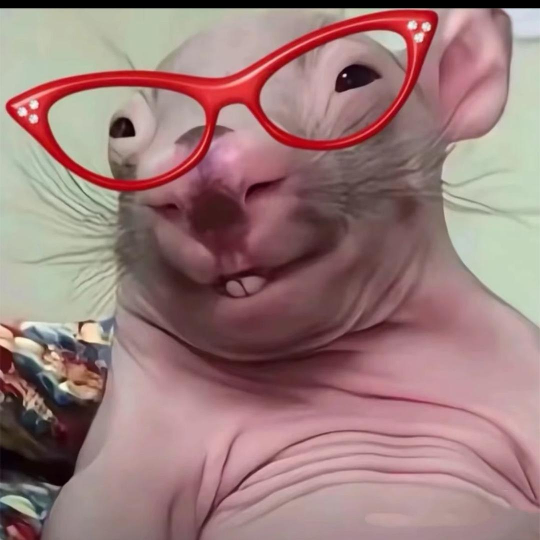 不是o蛋
