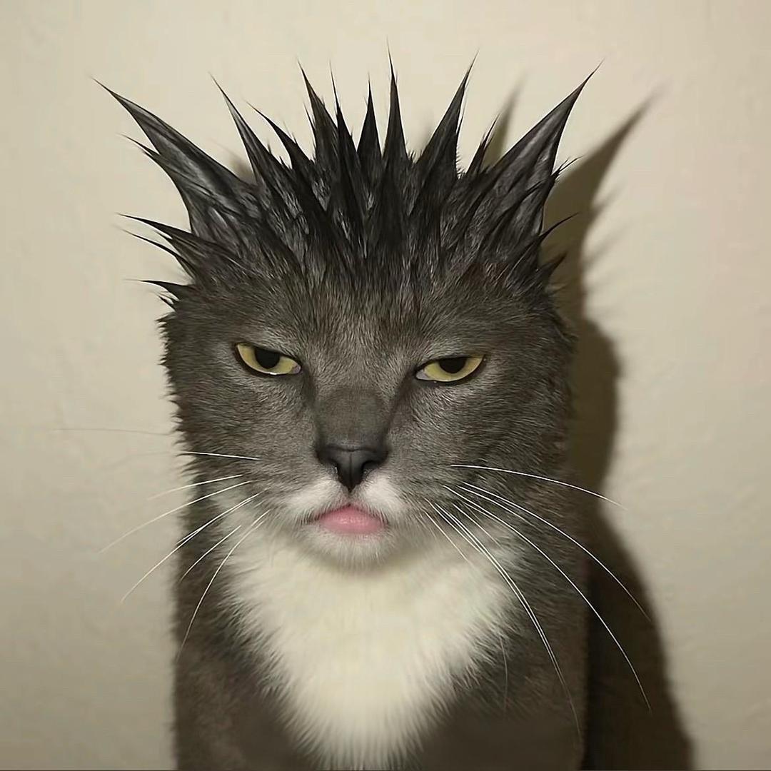 @👾