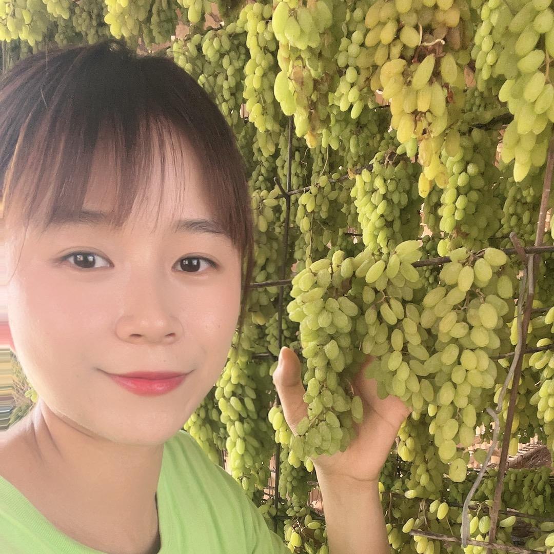 松鼠干果商贸