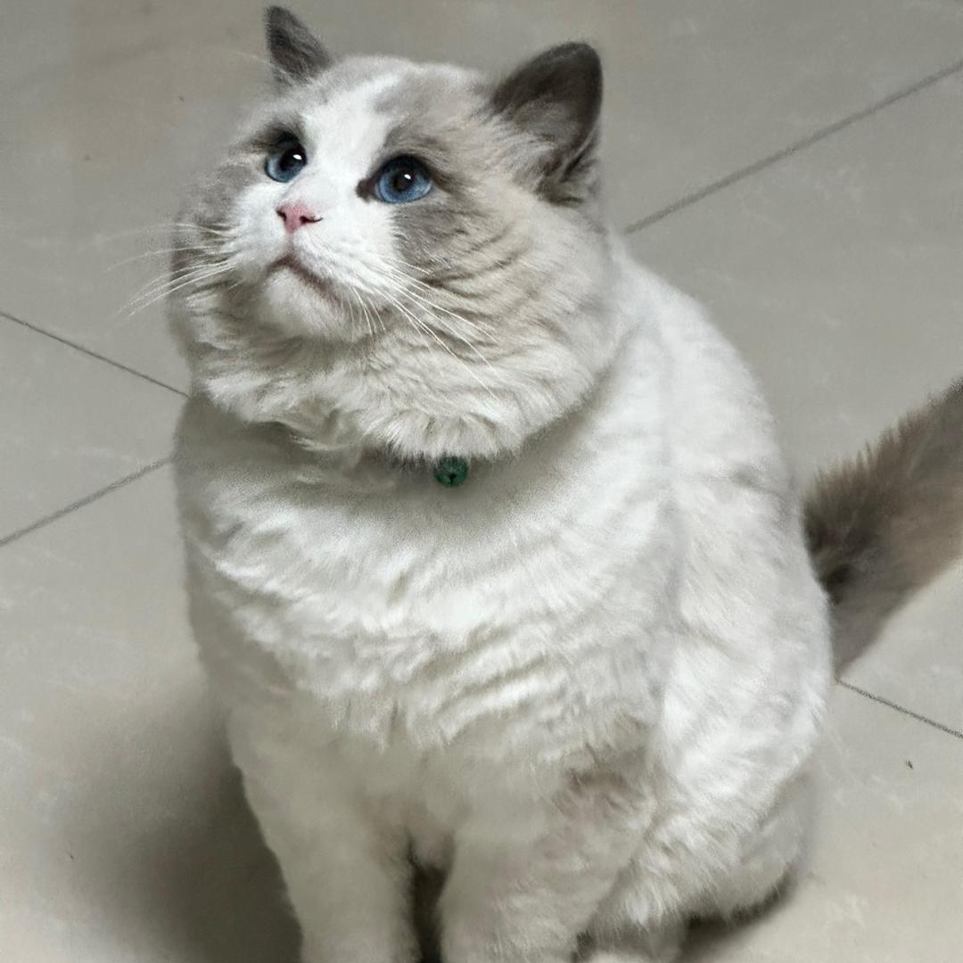 我是♏小茗同学