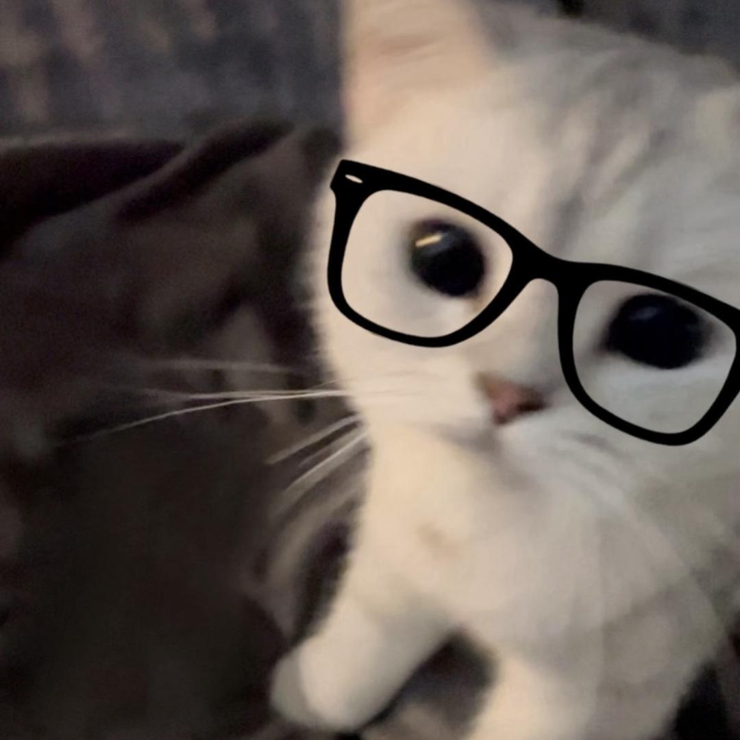 下海之后发现自己是只猫？