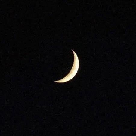 🌙-