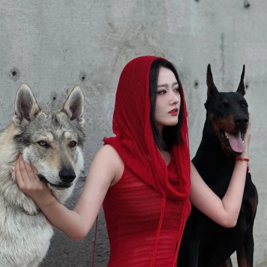 无敌的杜宾