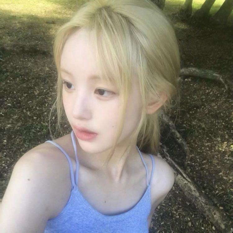妙脆脆脆鲨