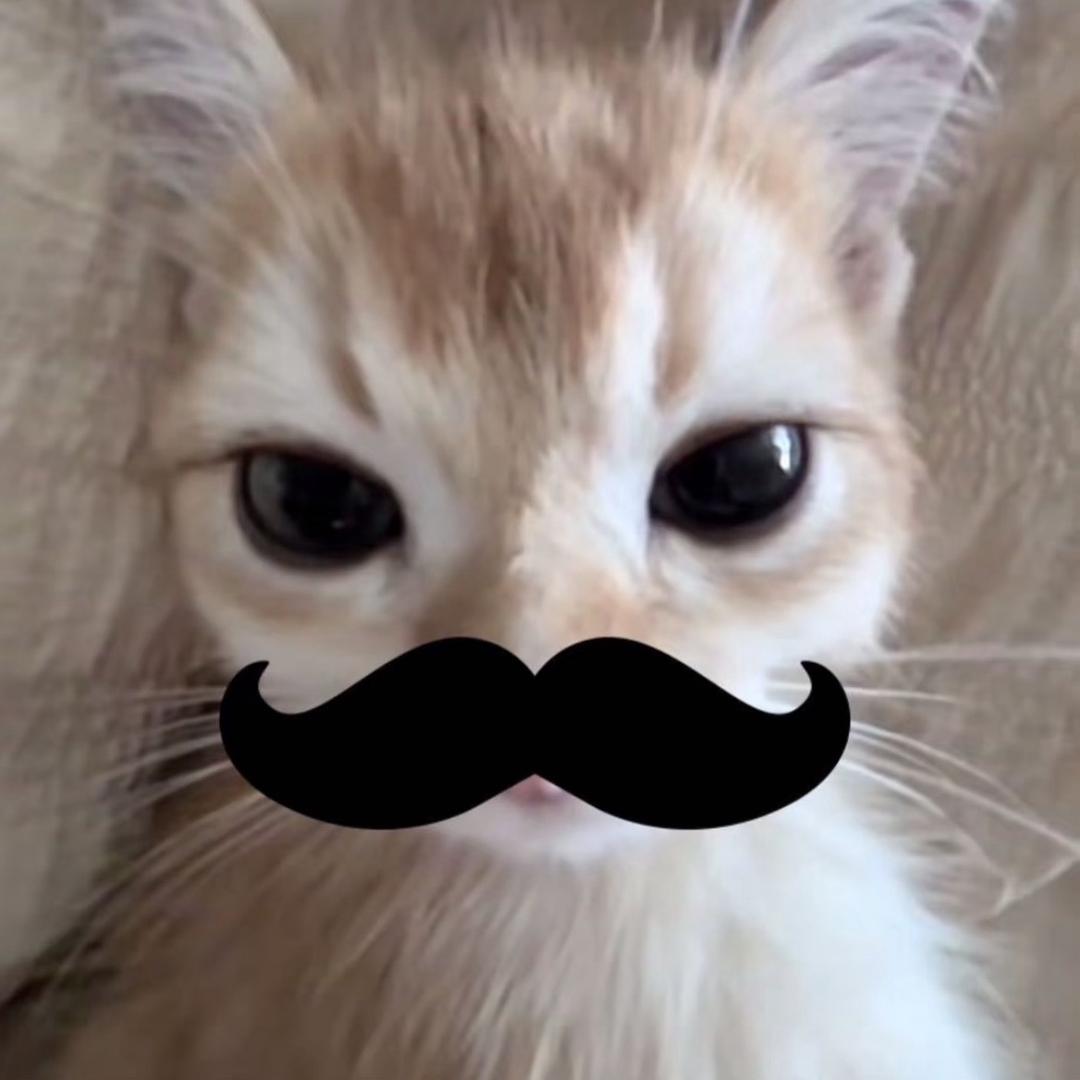 原来你什么都不想要