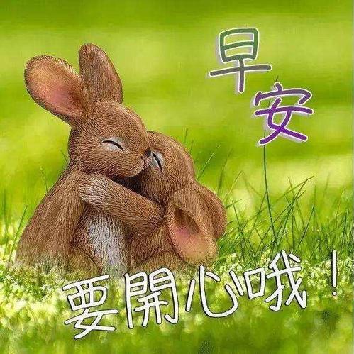 用户叶子头像