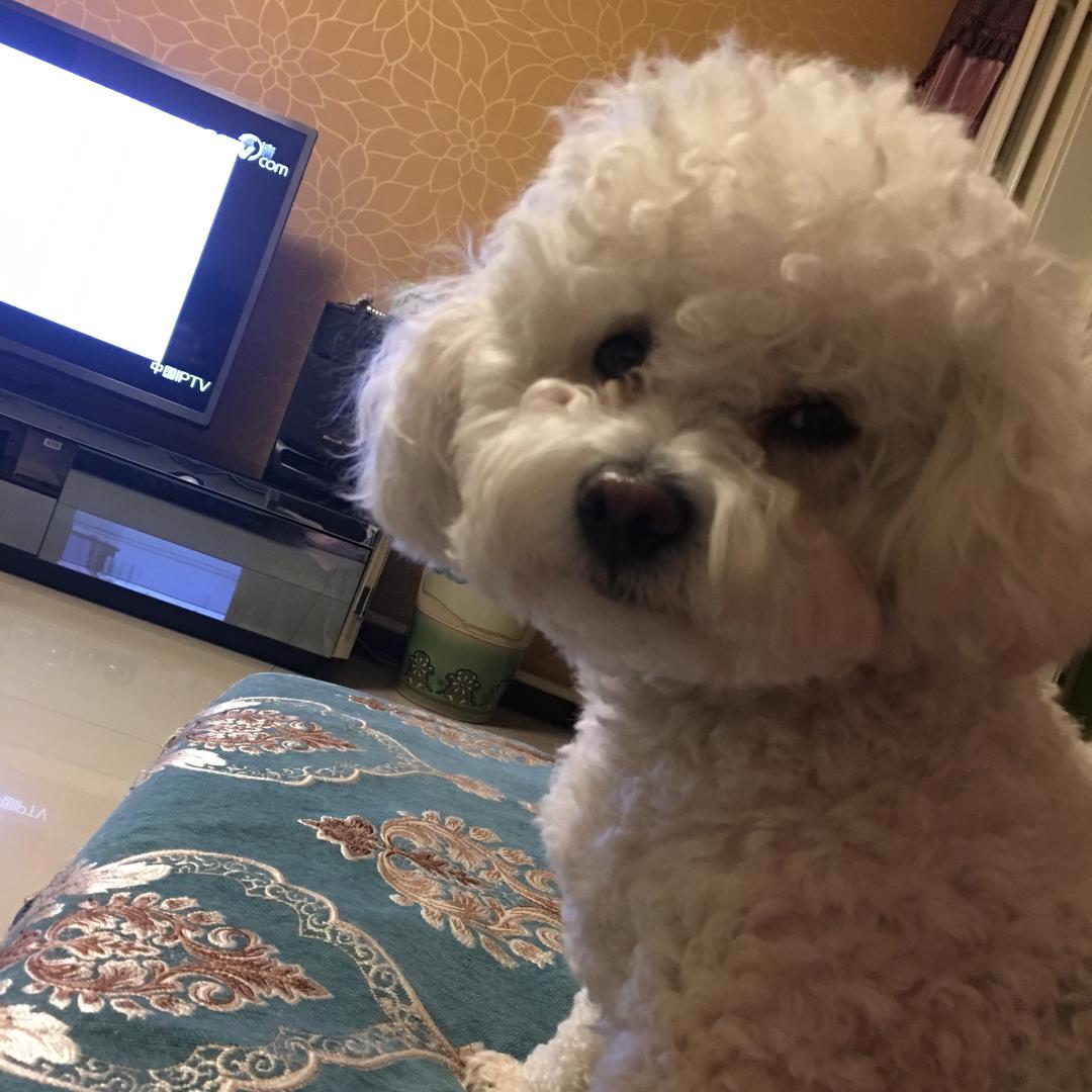 舂暖花开