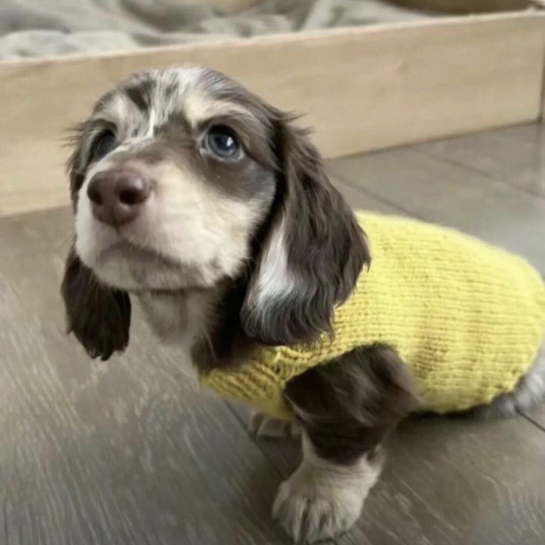 4^N_adam - ̗̀ ★  ̖́-