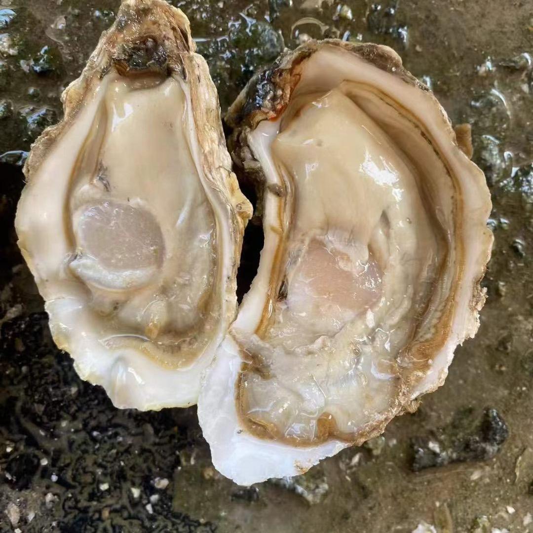 湛江烧烤店¥