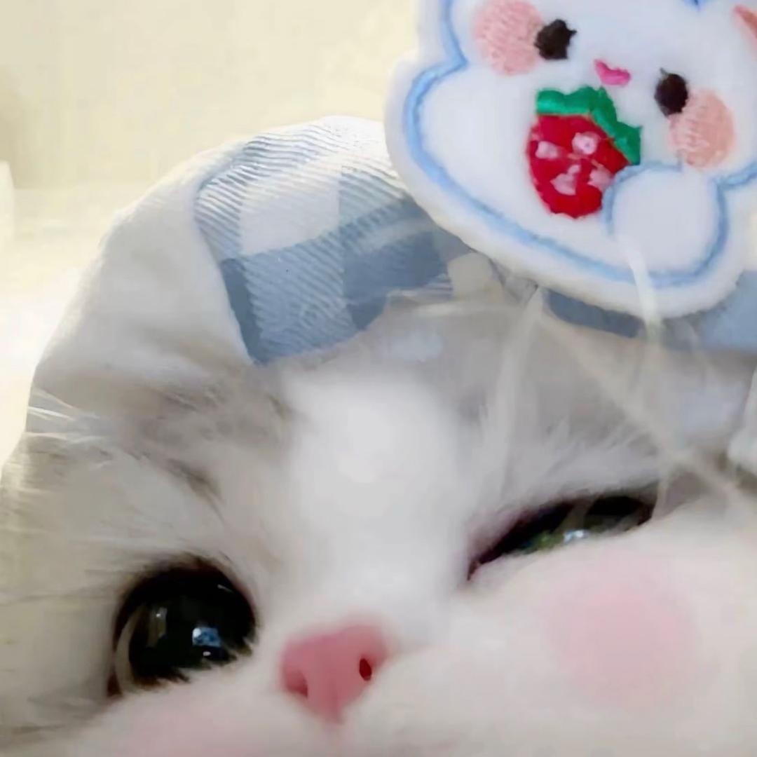 麻辣小鱼干
