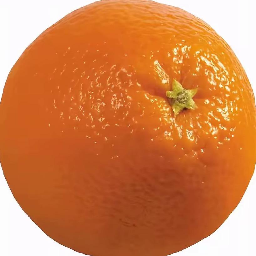 000006
