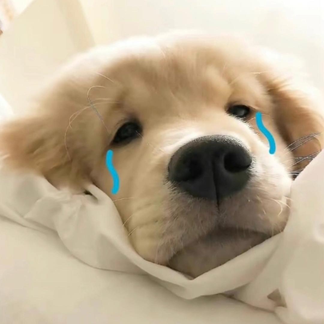 我才不是修勾