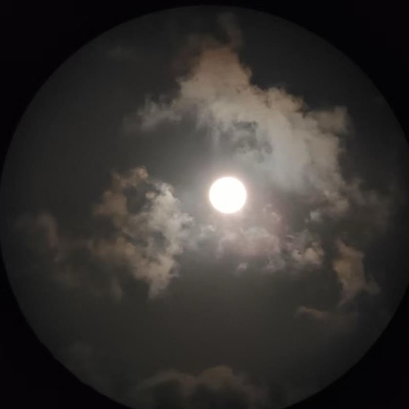 我吃不到葡萄就说葡萄酸