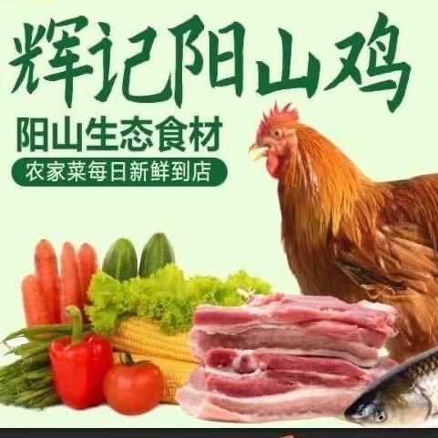 辉记阳山鸡🐔