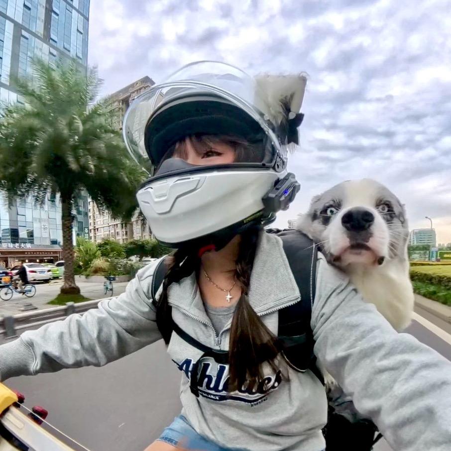 梅维斯的抛抛肉