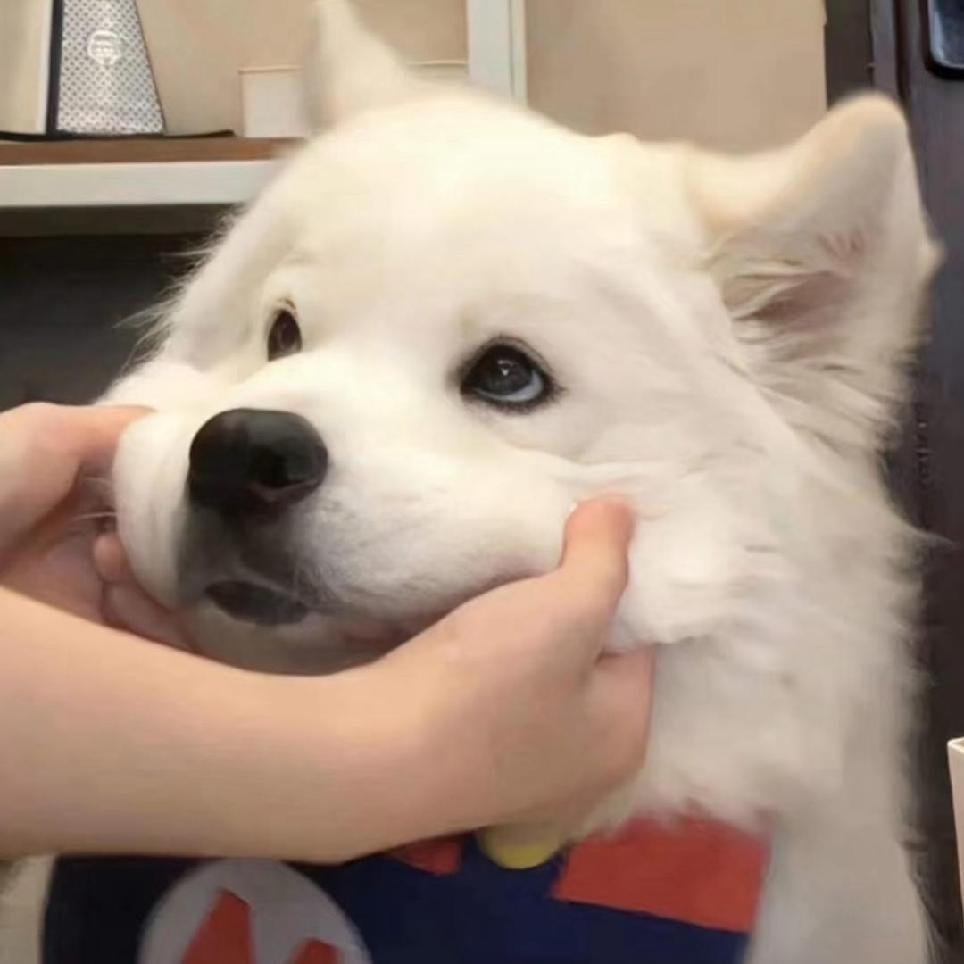 蟹蟹吖