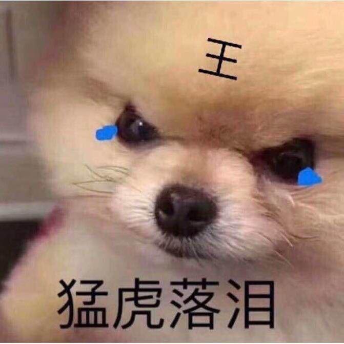 老王 Dark and darker