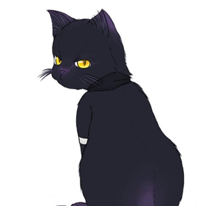 看我猫爪拳🐾
