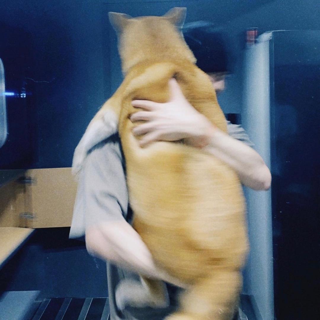搀着王嘉尔