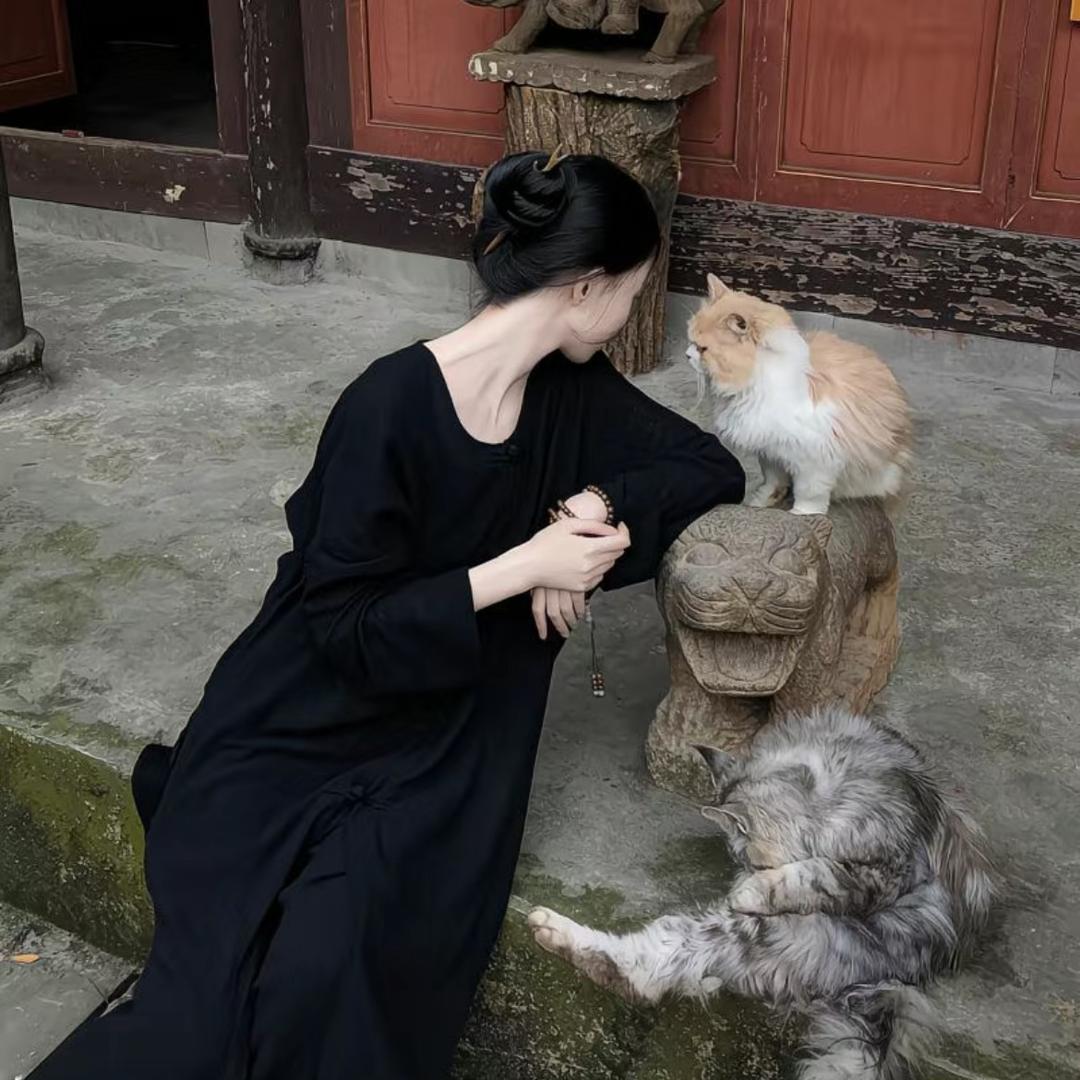 是晚晚呀🎀