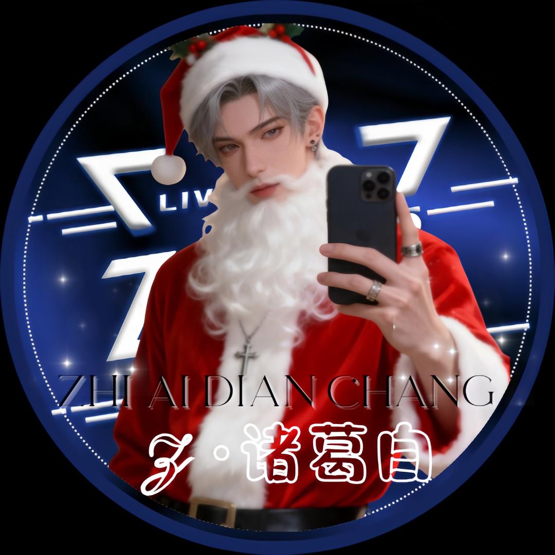 𝓩 ·诸葛白🪁