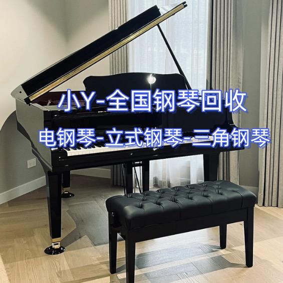 小Y-钢琴当天回收 全天评估