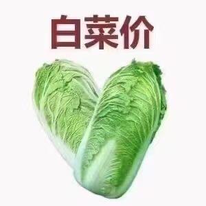 买房卖房找小林同学