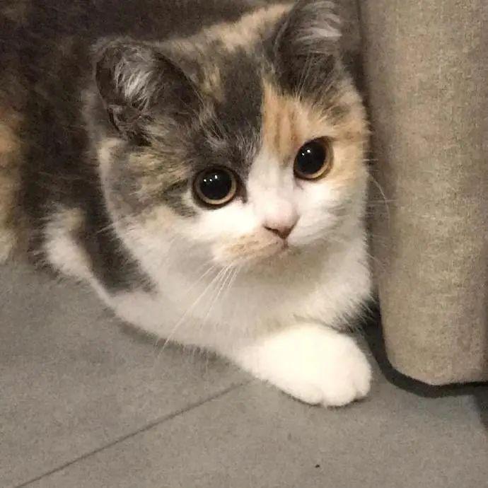 Mer