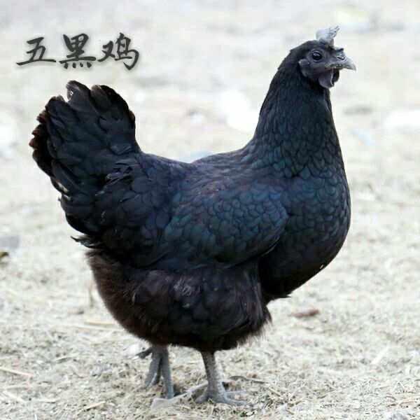 爱苜农场3号店