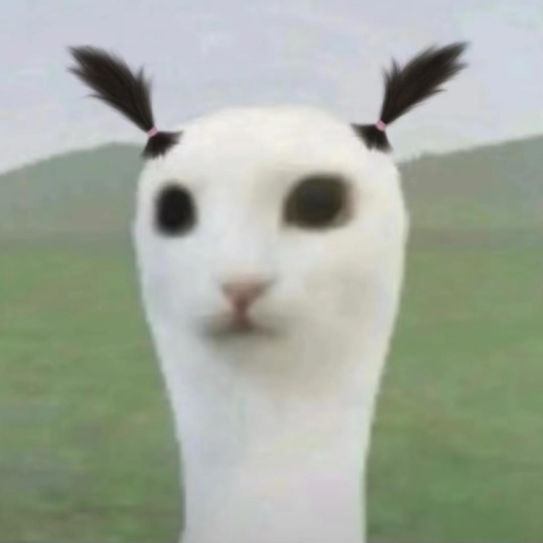 我的头像好看吗