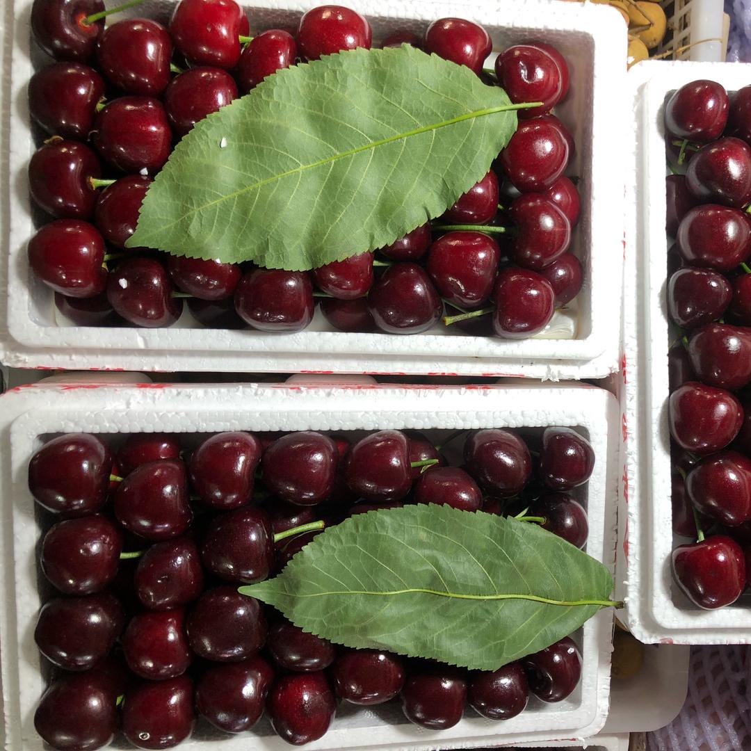 新鲜水果发全疆的头像