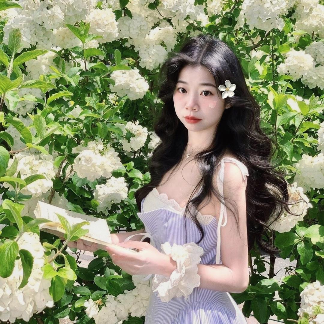 大嘴灰灰（奋斗版）