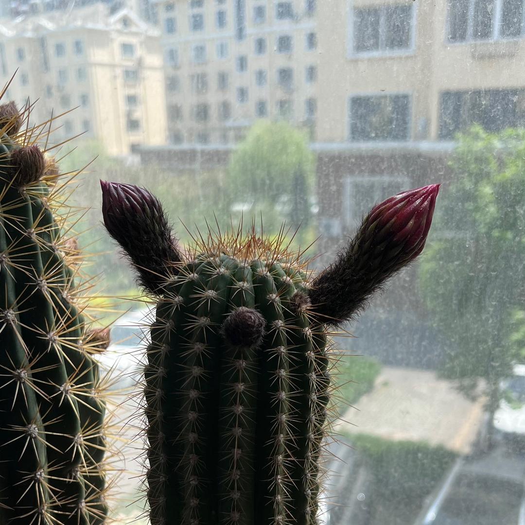 那年那月的那个人