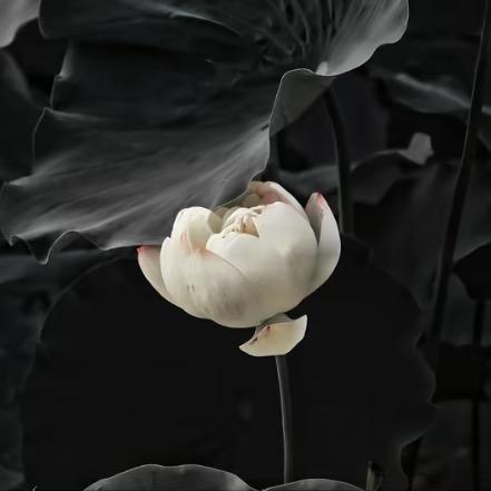 潘文博