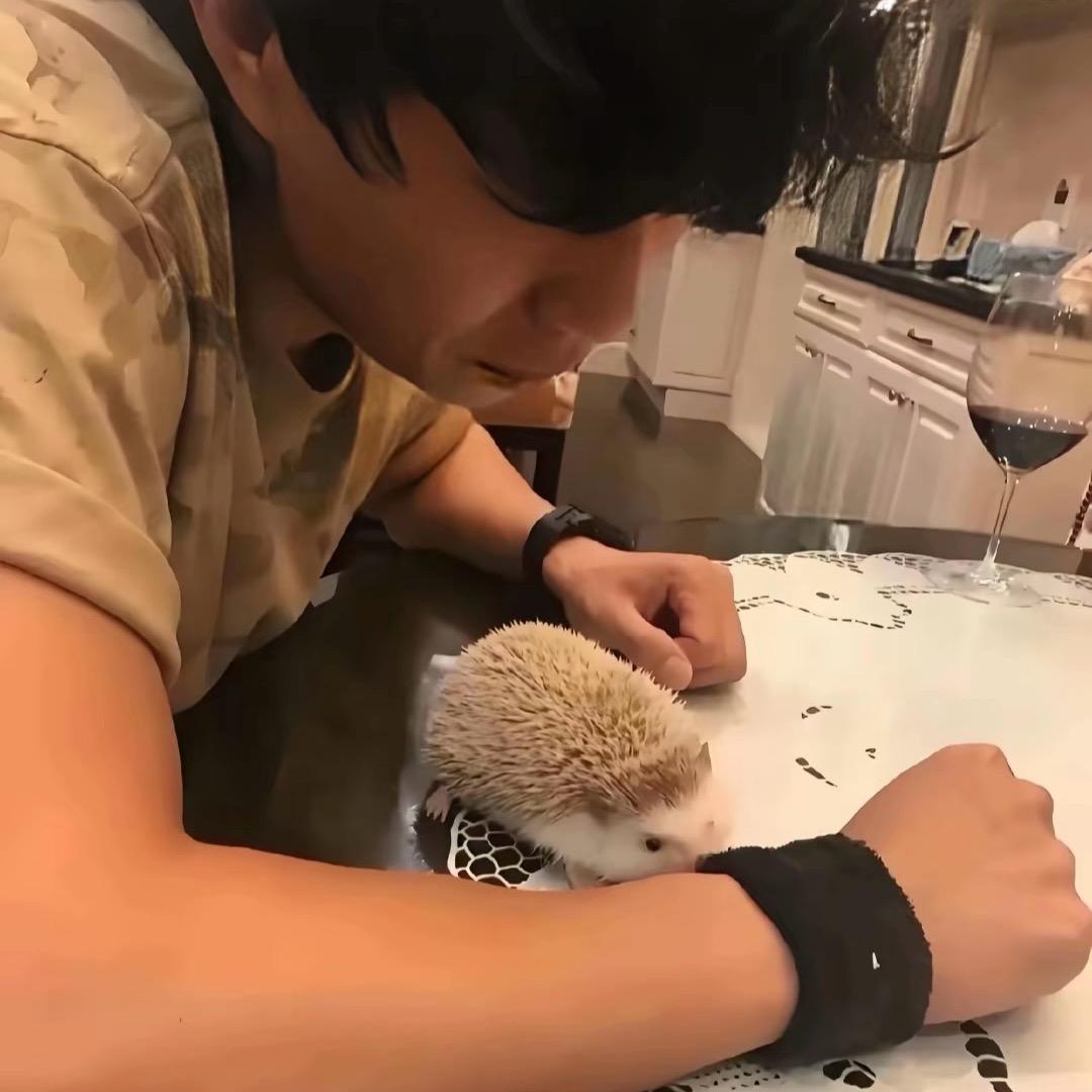 小陈又饿了