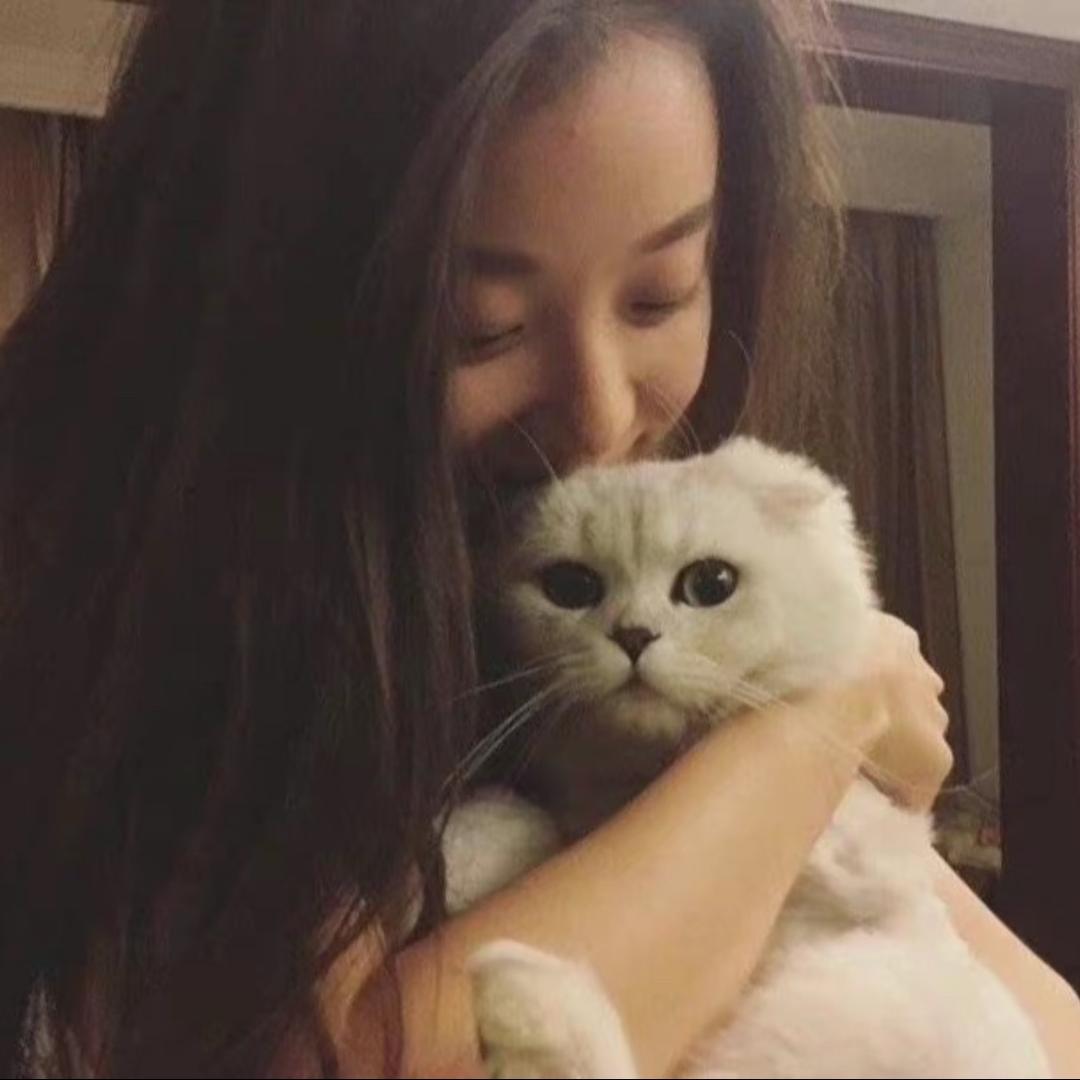 王哪跑
