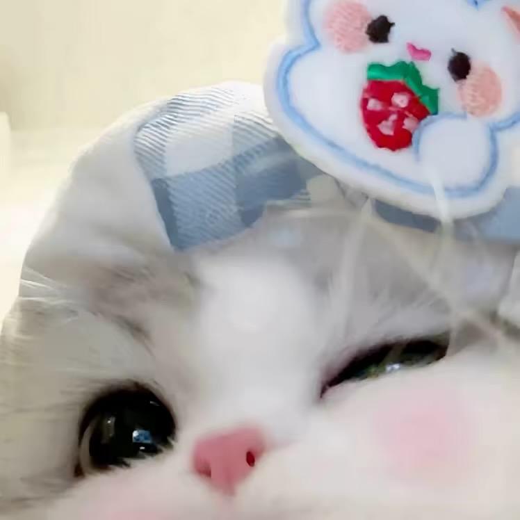 轻松熊