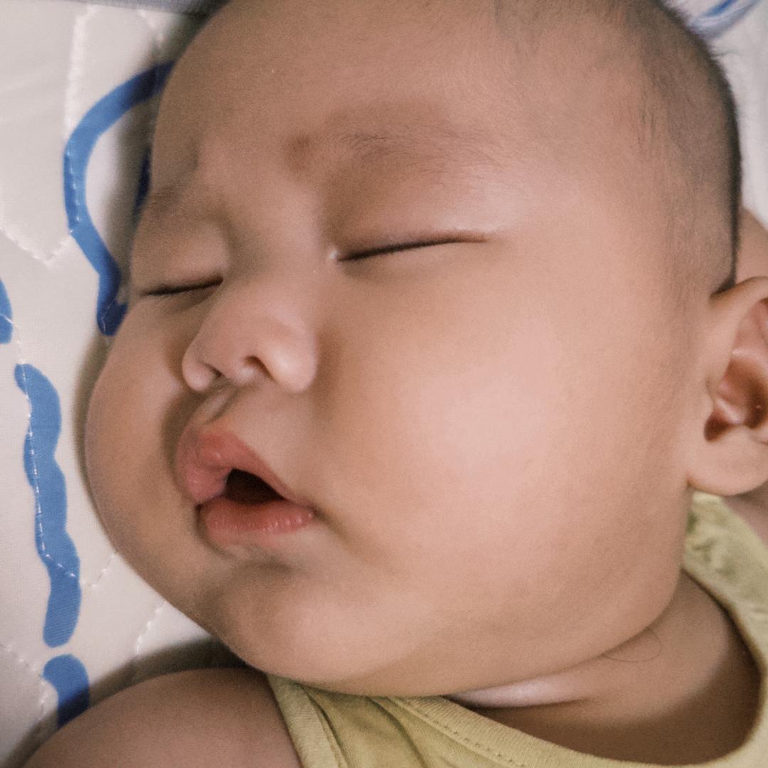 墩墩成长日记📔