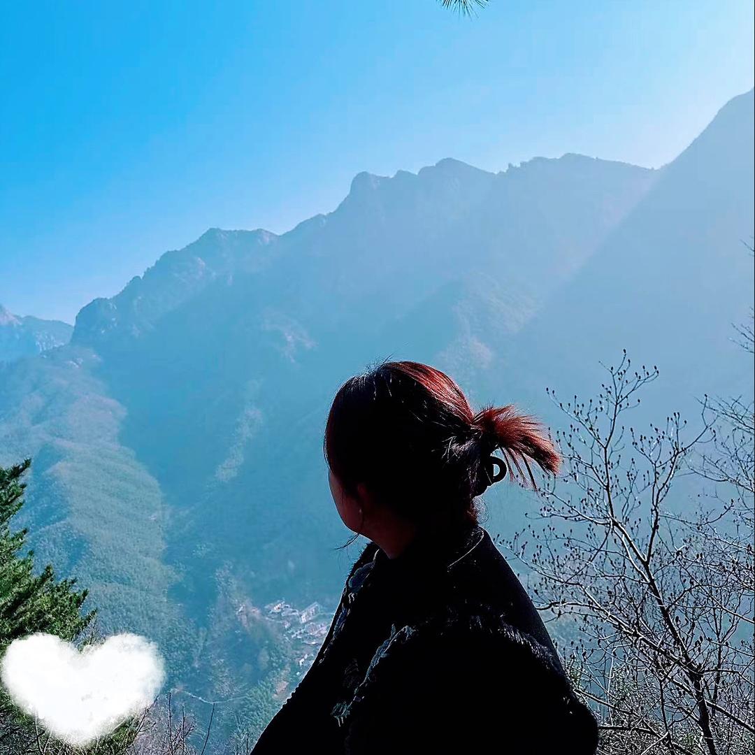 🪷代肉肉大码女装 ‘