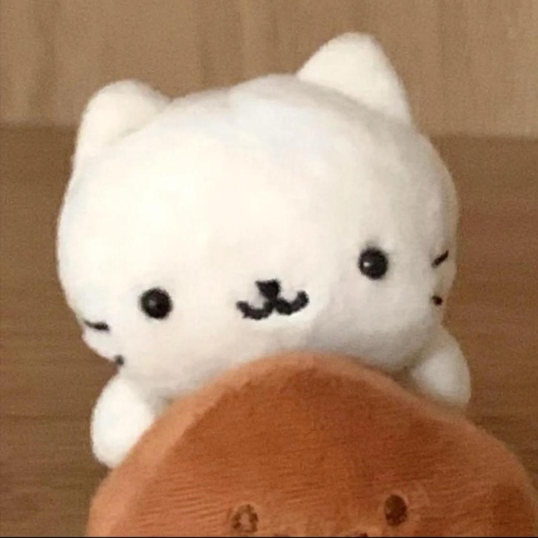 绝望的农村人ㅤㅤㅤㅤ