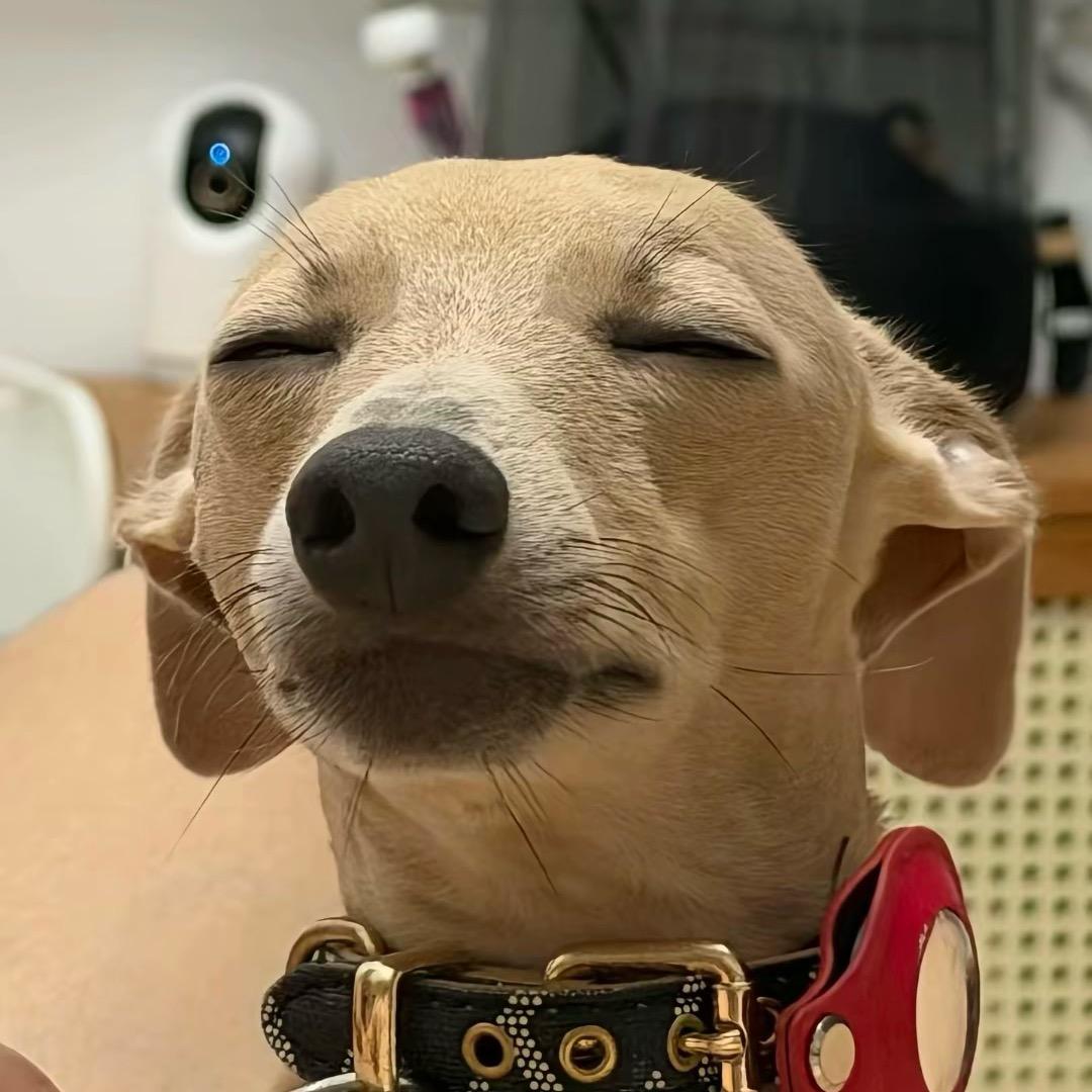 樾子